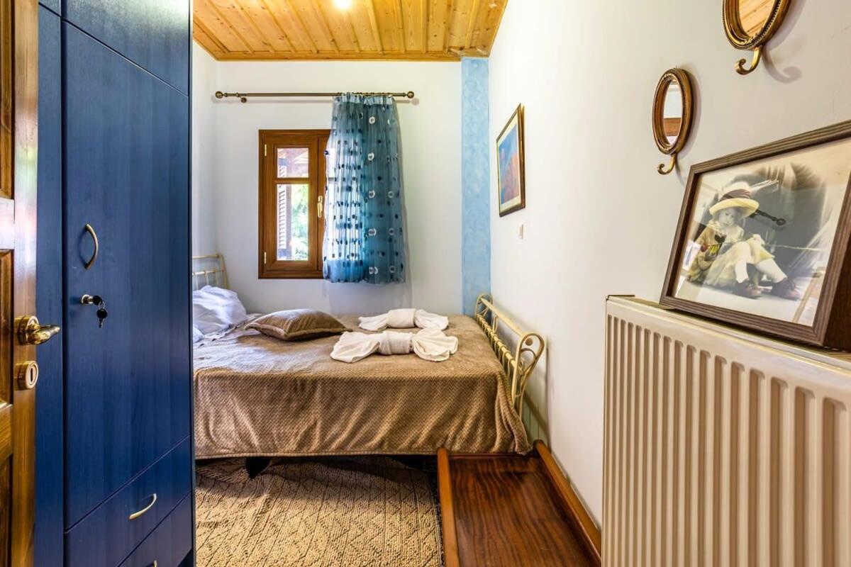 Stemnitsa Stone Residence - Comfy Mountain Getaway Ngoại thất bức ảnh